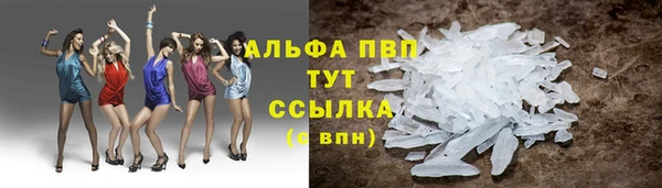 дмт Бородино