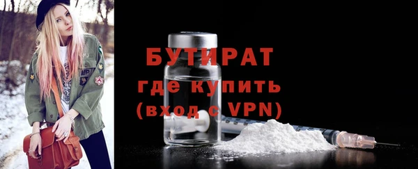 дмт Бородино