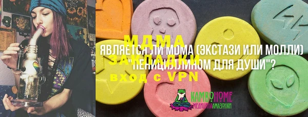 дмт Бородино