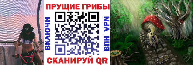Купить где  Мамоново  Псилоцибиновые грибы MAGIC MUSHROOMS 